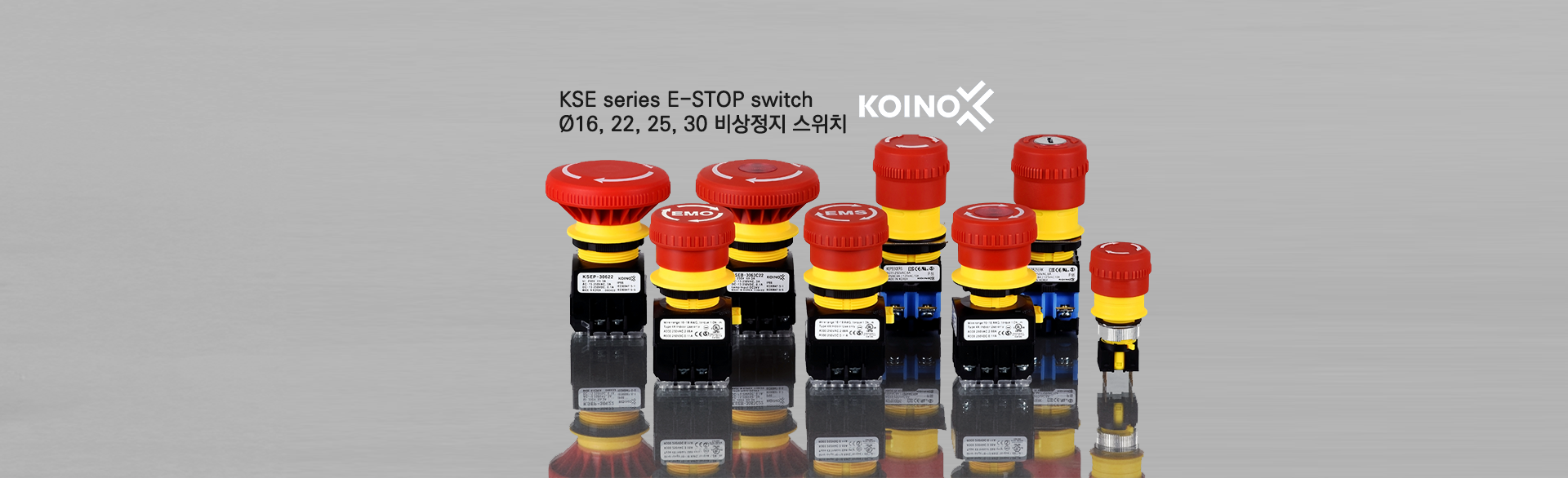 Koino Vietnam 5